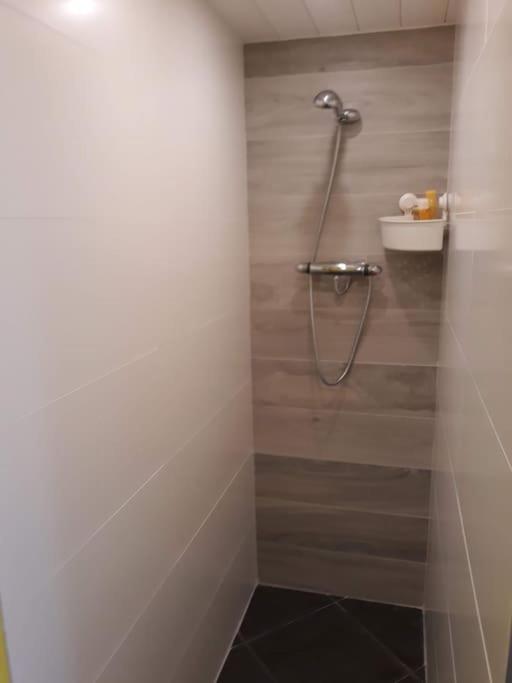 Studio Au Jardin Fleuri Verviers Ngoại thất bức ảnh