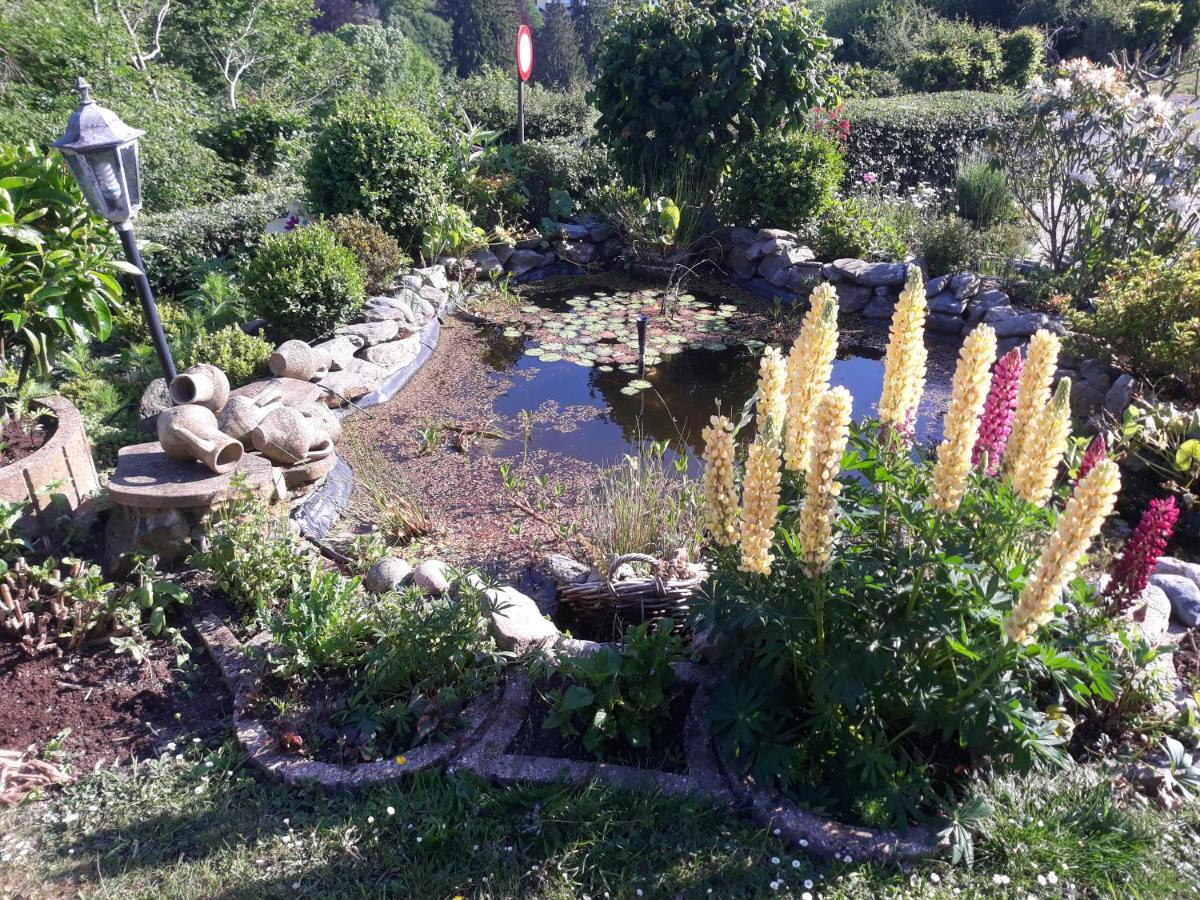Studio Au Jardin Fleuri Verviers Ngoại thất bức ảnh